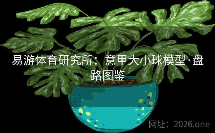 易游体育研究所：意甲大小球模型·盘路图鉴