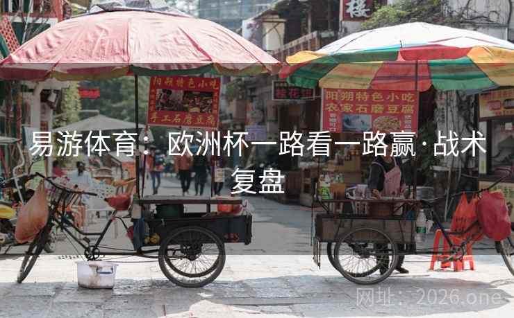 易游体育：欧洲杯一路看一路赢·战术复盘
