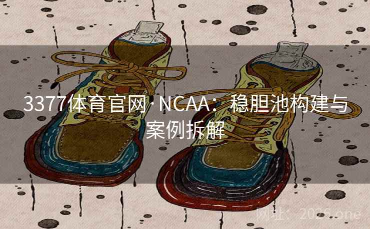 3377体育官网·NCAA：稳胆池构建与案例拆解