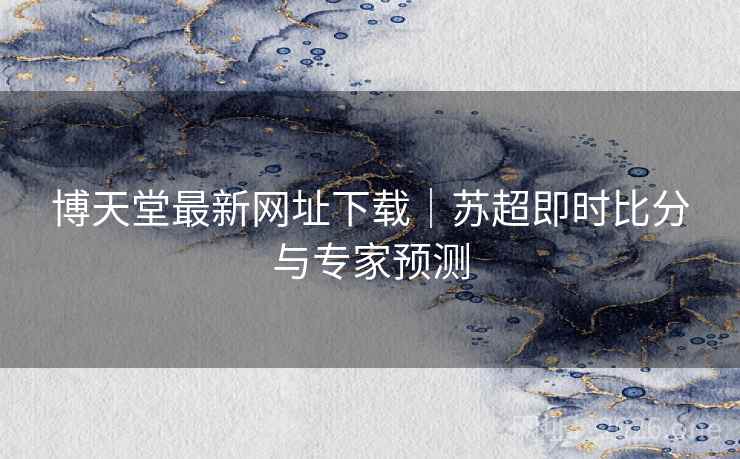 博天堂最新网址下载｜苏超即时比分与专家预测